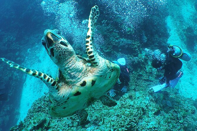 Full Day Guided Boat 2diving in Kerama Islands (License Required) - Cancellation Policy