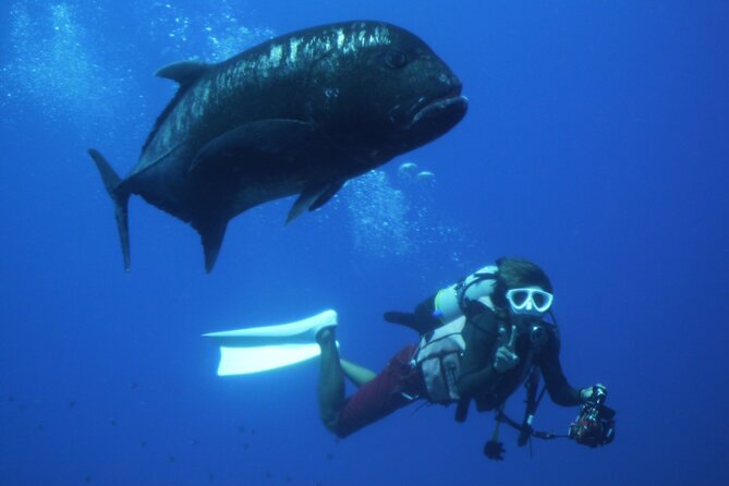 Full Day Guided Boat 2diving in Kerama Islands (License Required) - Transportation and Meals