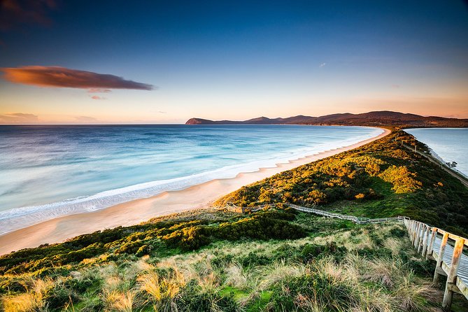 Full-Day Guided Bruny Island Tour From Hobart - Pickup and Meeting Information