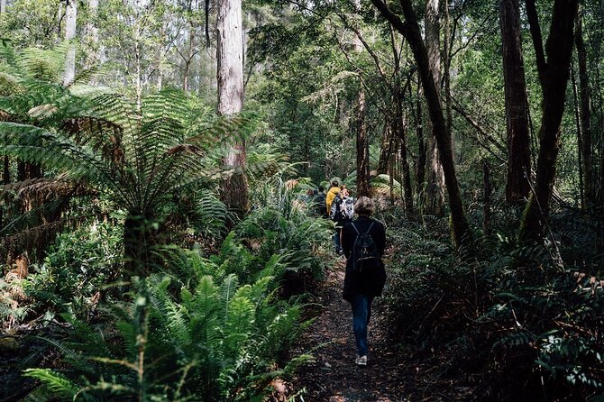 Full-Day Guided Bruny Island Tour From Hobart - Tour Activities