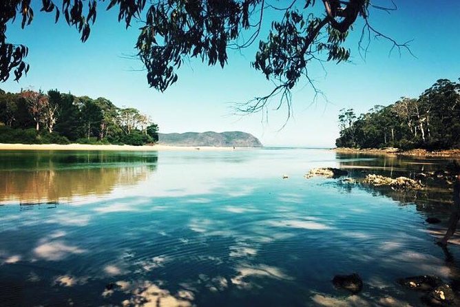 Full-Day Guided Bruny Island Tour From Hobart - Scenic Coastline and Beaches