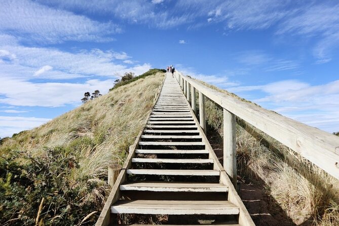 Full-Day Guided Bruny Island Tour From Hobart - Tour Logistics and Accessibility