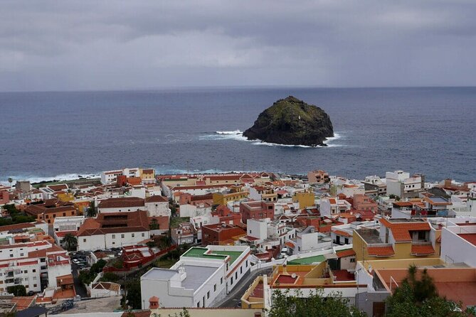 Full-day Guided Bus Tour to Mt. Teide and the Towns of Icod, Garachico, Masca - Accessibility and Policies