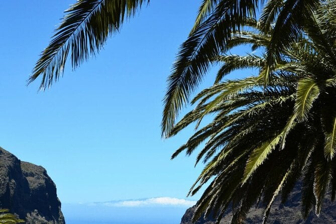 Full-day Guided Bus Tour to Mt. Teide and the Towns of Icod, Garachico, Masca - Health Concerns