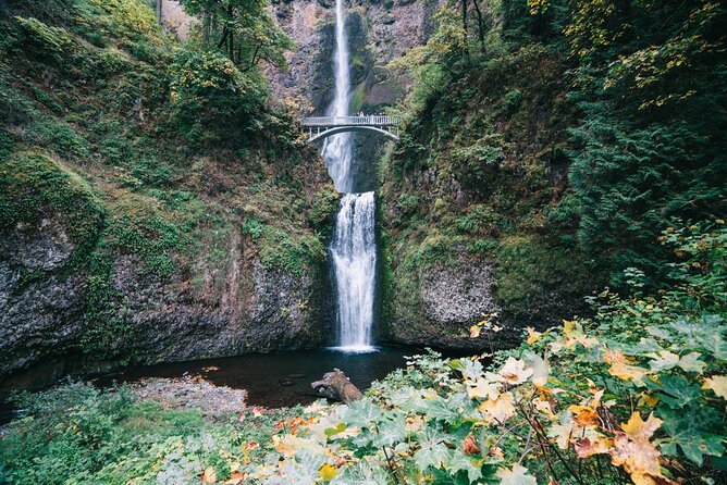 Full Day Guided Columbia River Gorge Tour in Oregon - Highlights of the Tour