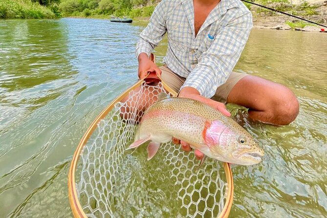 Full Day Guided Fishing Tour in Canyon Lake - Cancellation and Booking