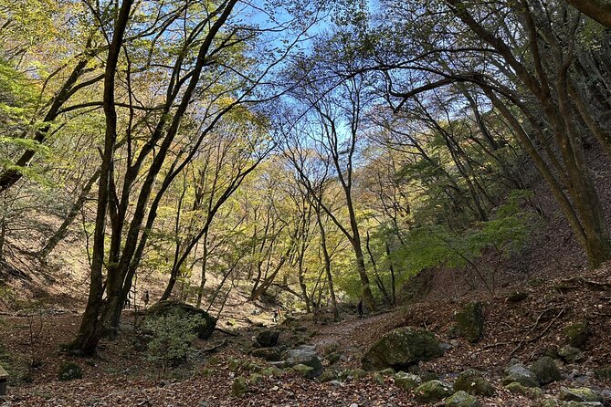 Full Day Guided Hiking Tour in Mt. Mitake - Meeting and Pickup