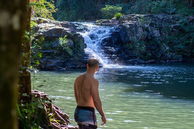 Full-Day Guided Hinterland Adventure Tour in Queensland - Key Points