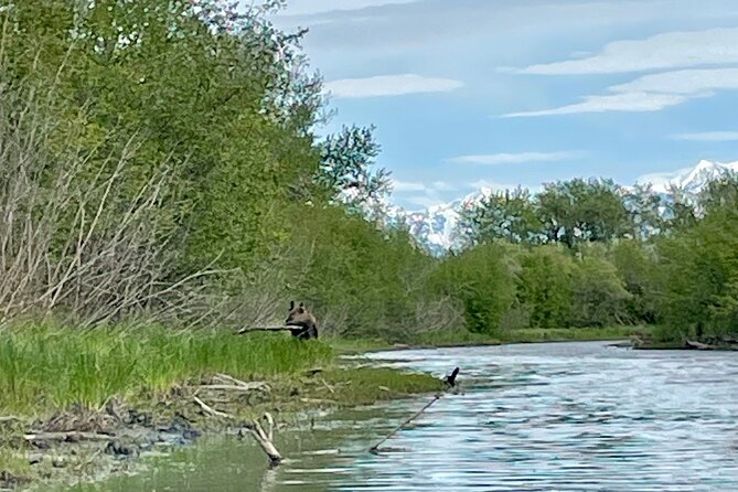 Full Day Guided Kayak Tour on Knik River - Reviews