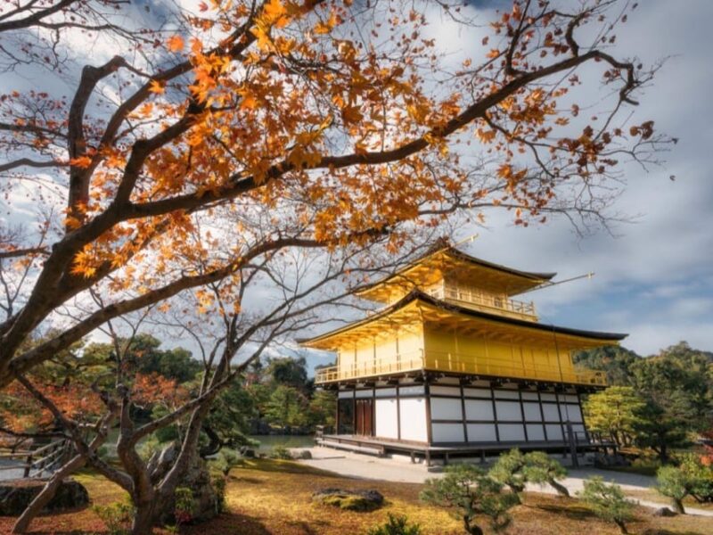 Full Day Guided Kyoto Cultural Tour - Inclusion Details