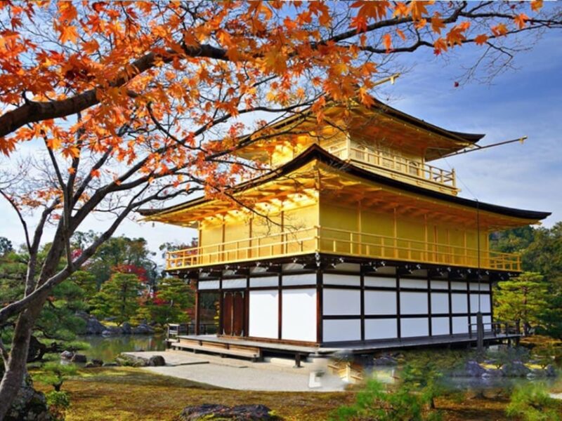 Full Day Guided Kyoto Cultural Tour - Exclusions and Restrictions
