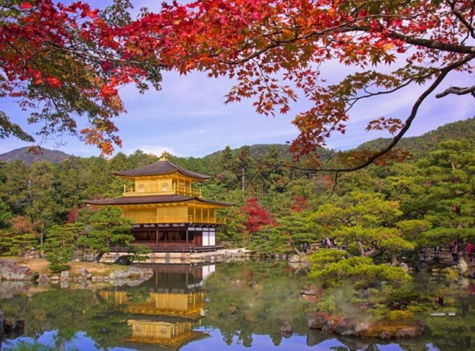 Full Day Guided Kyoto Cultural Tour - Tour Logistics