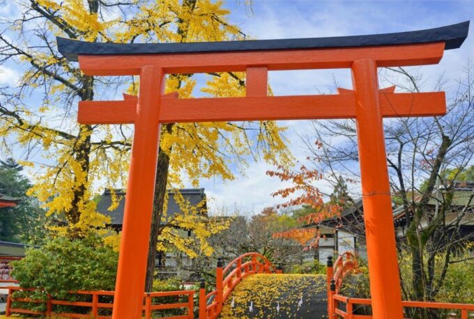 Full Day Guided Kyoto Cultural Tour - Frequently Asked Questions