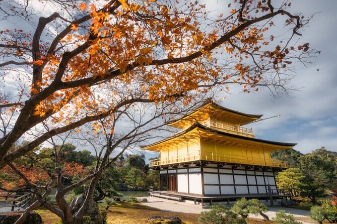 Full Day Guided Kyoto Cultural Tour - Cancellation Policy