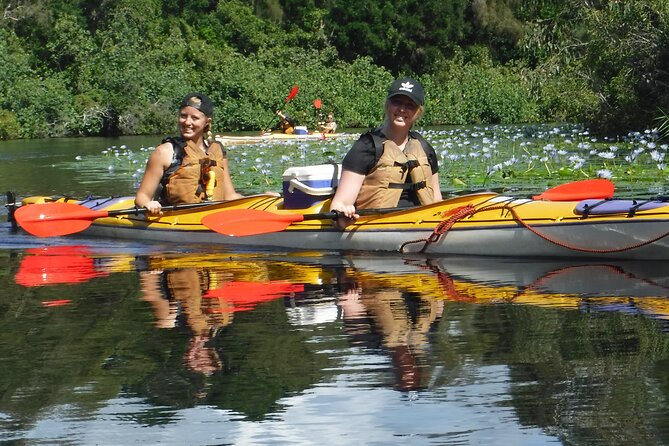 Full-Day Guided Noosa Everglades Kayak Tour - Reviews and Pricing