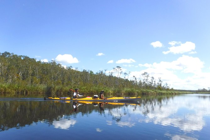 Full-Day Guided Noosa Everglades Kayak Tour - Wildlife Sightings