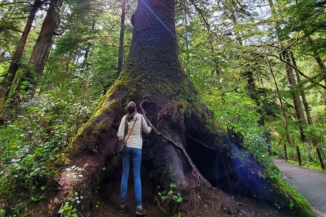 Full-Day Guided Oregon Coast Tour From Portland - Tour Guide and Experience