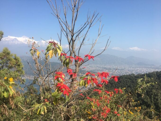 Full Day Guided Pokhara City Tour by Private Car - World Peace Pagoda and Museum