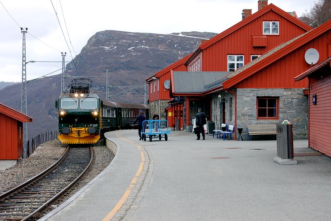 Full Day Guided Roundtrip From Bergen To Sognefjord With Flam Railway - Duration and Logistics