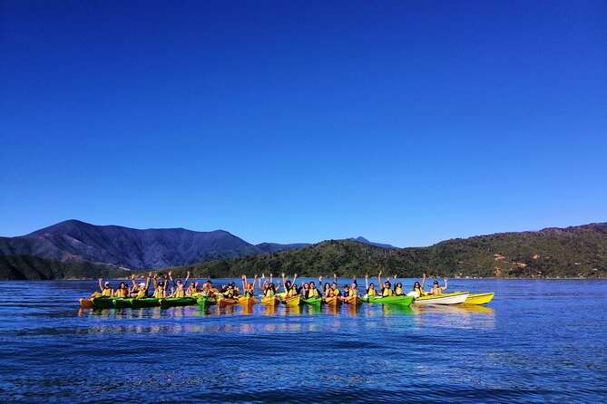Full Day Guided Sea Kayak Tour From Picton - Additional Information
