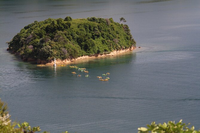 Full Day Guided Sea Kayak Tour From Picton - Reviews and Feedback