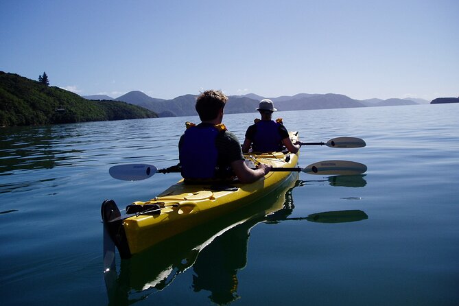 Full Day Guided Sea Kayak Tour From Picton - Lunch Experience