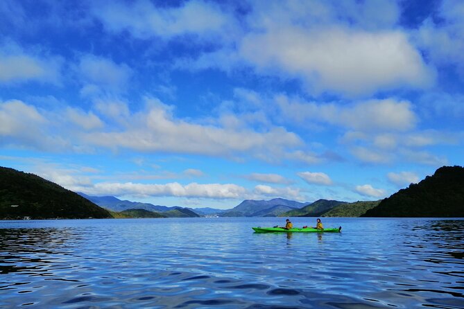 Full Day Guided Sea Kayak Tour From Picton - Group Size