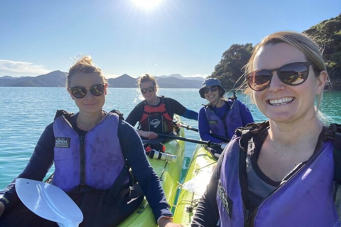 Full-Day Guided Sea Kayak Trip From Picton - Experience Highlights