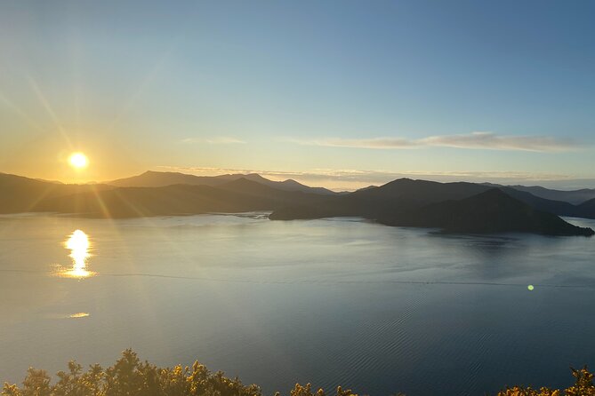 Full-Day Guided Sea Kayak Trip From Picton - Morning Tea at Remote Beach