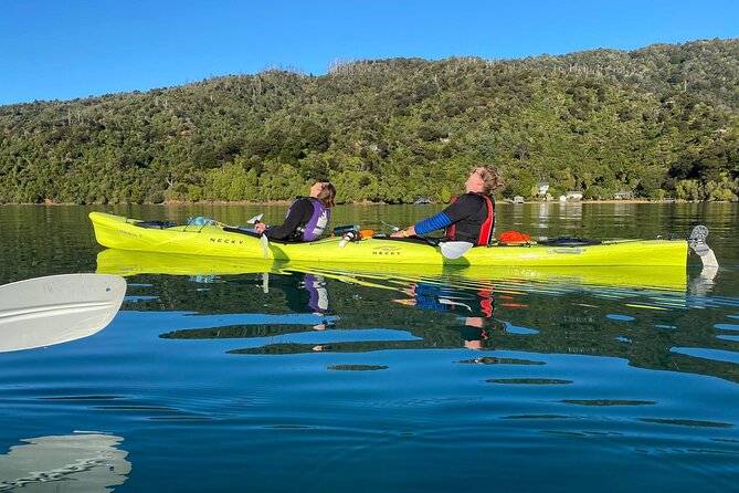 Full-Day Guided Sea Kayak Trip From Picton - Lunch in Tranquil Bay