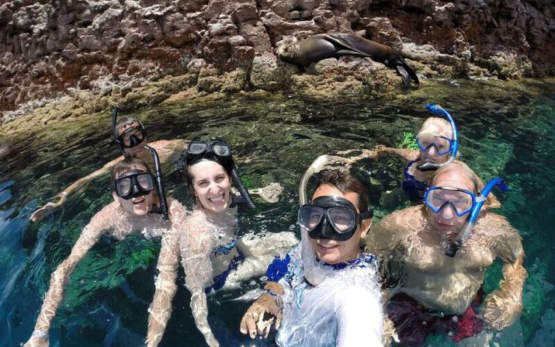 Full-day Guided Tour Espíritu Santo Island & Sea Lions - Key Points