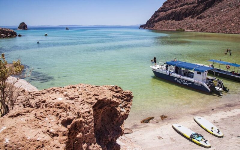 Full-day Guided Tour Espíritu Santo Island & Sea Lions - Inclusions