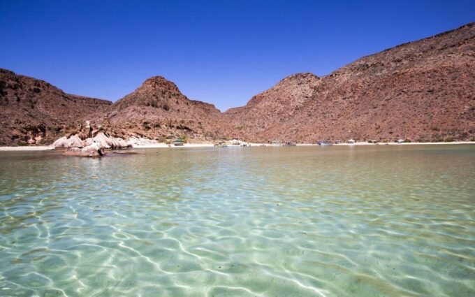 Full-day Guided Tour Espíritu Santo Island & Sea Lions - Tour Duration