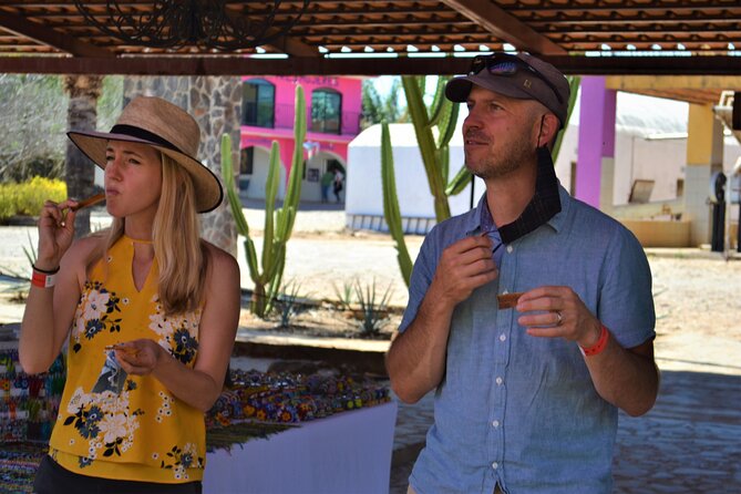Full Day Guided Tour in Amatitán and Tequila With Tasting - Additional Information
