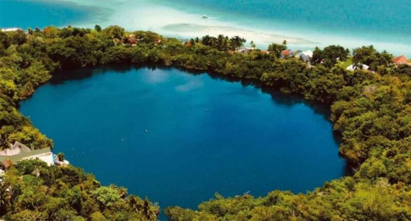 Full-day Guided Tour in Bacalar: The Lagoon of Seven Colors - Group Size and Languages