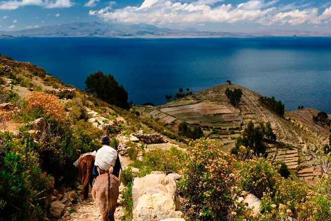 Full Day Guided Tour in Copacabana and Isla Del Sol - Inclusions and Fees