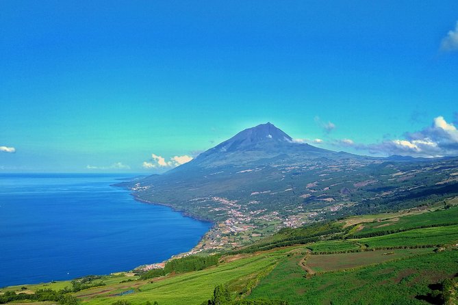 Full-Day Guided Tour in Pico Island - Meeting and End Point