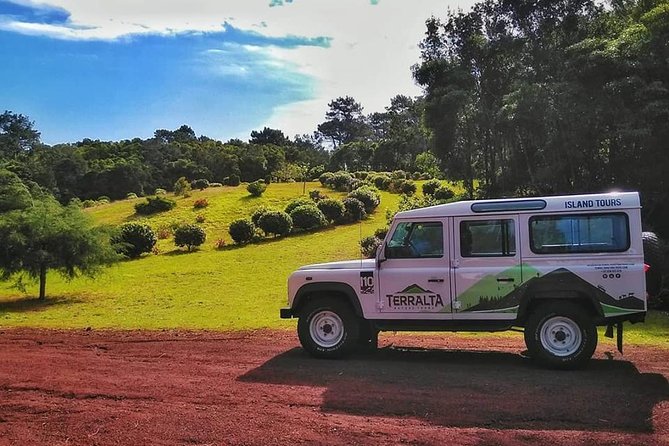 Full-Day Guided Tour in Pico Island - Volcanic Landscapes