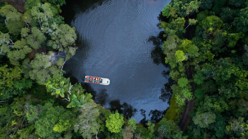 Full Day Guided Tour of Kuranda Including Skyrail One-Way - Kuranda Exploration