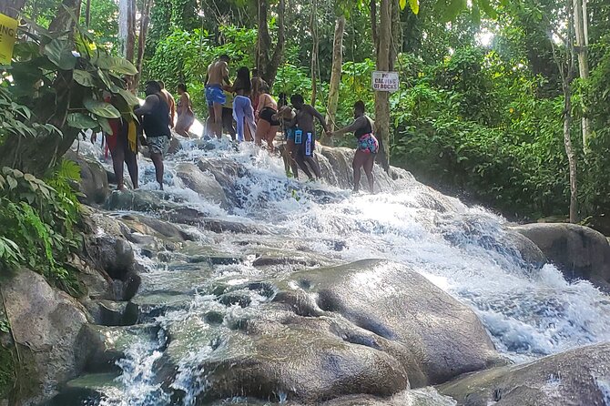 Full-Day Guided Tour to Dunns River Falls & Shopping With Lunch - Exploring Dunns River Falls
