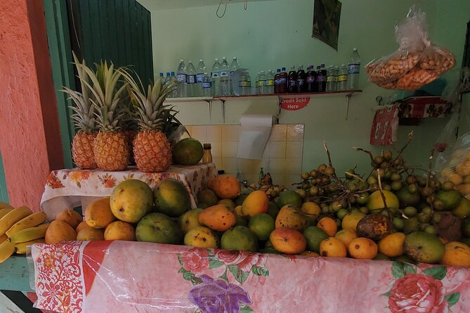 Full-Day Guided Tour to Dunns River Falls & Shopping With Lunch - Shopping Experiences