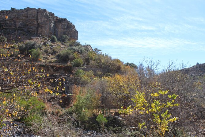 Full-Day Guided Tour to Jebel Akhdar - Accessibility and Age Restrictions
