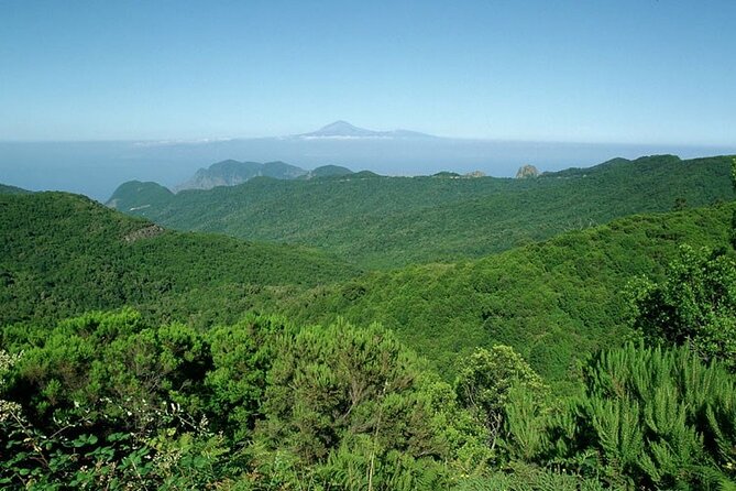 Full Day Guided Tour to La Gomera From Tenerife - What to Bring and Prepare