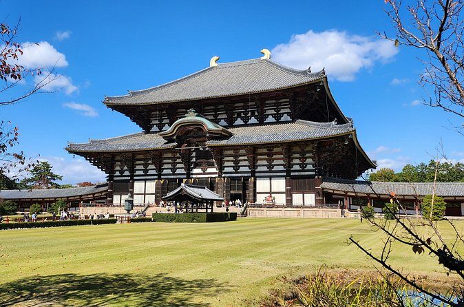 Full Day Guided Tour to Nara from Osaka by Van - The Sum Up
