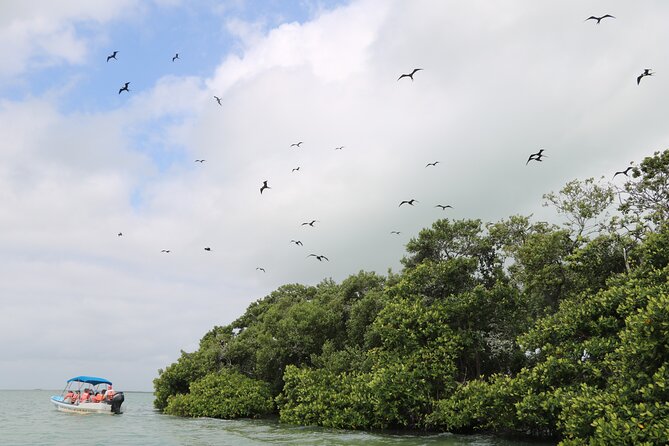 Full Day Guided Tour to Sian Kaan (Short Way) - Health and Safety