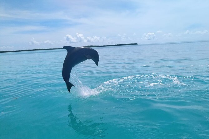 Full Day Guided Tour to Sian Kaan (Short Way) - Discover Mangrove Forests