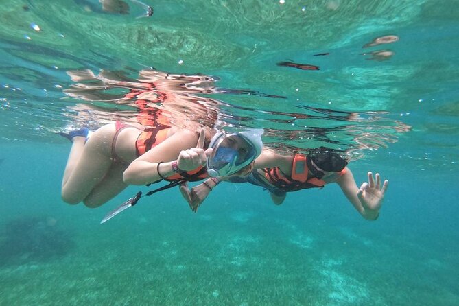 Full Day Guided Tour to Sian Kaan (Short Way) - Wildlife Spotting Opportunities