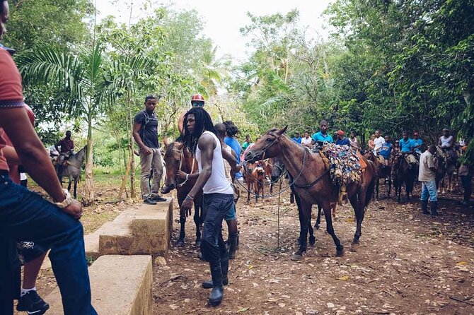 Full-day Guided Tour to Smana, Limon Waterfall and Bacardi Island - Reviews and Feedback