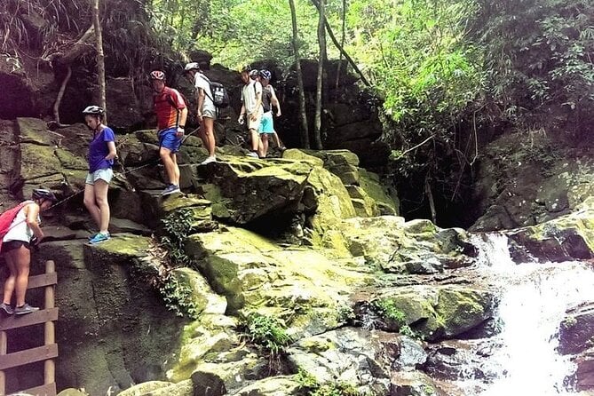 Full-Day Guided Trekking Tour in Bach Ma National Park Vietnam - Trekking Highlights and Activities