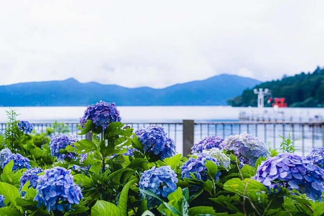 Full Day Guided Trip to Mt. Fuji and Hakone From Tokyo - Meeting Point and Time